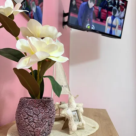 Stefy's House * スカレア