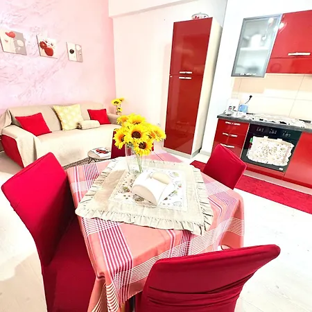Stefy's House
