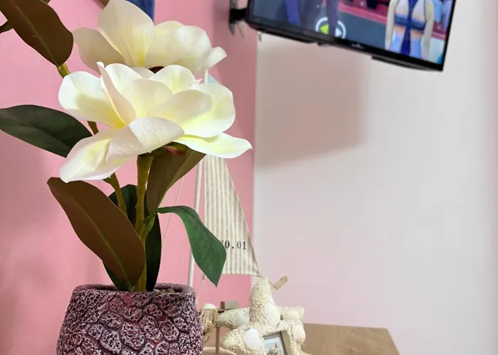 Stefy's House * Scalea