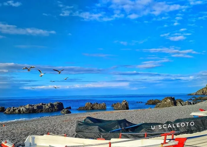 Stefy's House Appartamento *